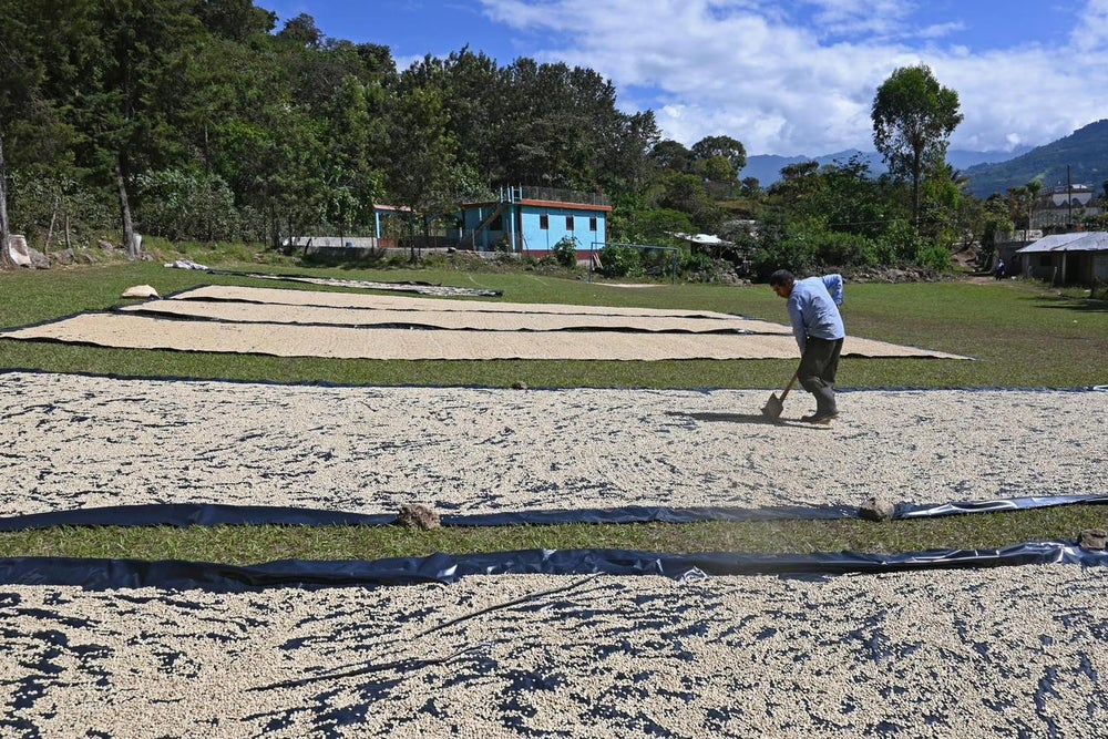 BIO káva | Guatemala AAPICUC | Espresso